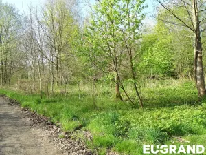 Prodej pozemku, Varnsdorf, 489 m2