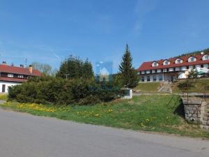 Prodej ubytování, Strážný - Řasnice, 6251 m2