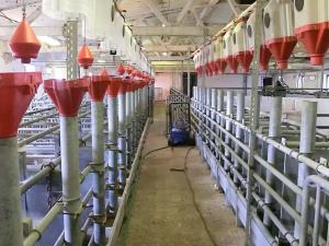 Prodej zemědělského objektu, Majdalena, 2000 m2