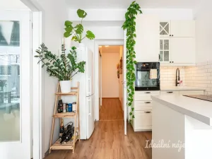 Pronájem bytu 2+kk, Praha - Vršovice, Košická, 48 m2