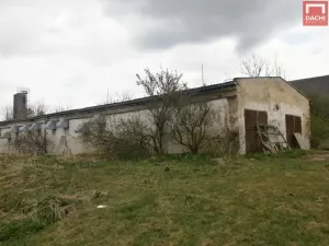 Prodej zemědělské usedlosti, Šternberk - Dalov, 4507 m2