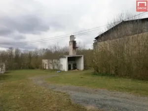 Prodej zemědělské usedlosti, Šternberk - Dalov, 4507 m2