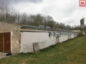 Prodej zemědělské usedlosti, Šternberk - Dalov, 4507 m2