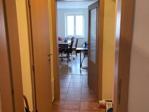 Pronájem bytu 1+1, Olomouc, Šemberova, 45 m2