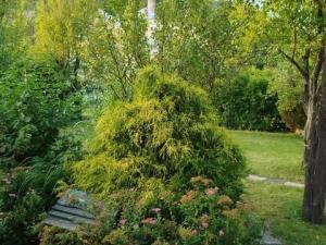 Prodej rodinného domu, Brumov-Bylnice - Brumov, H. Synkové, 160 m2