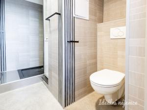 Pronájem bytu 2+kk, Praha - Braník, Jílovská, 35 m2