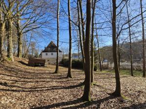 Prodej rodinného domu, Huntířov - Nová Oleška, 3386 m2