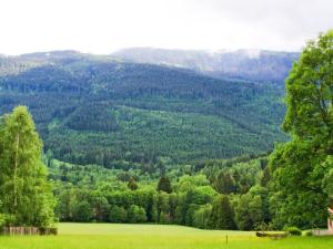 Prodej pozemku pro bydlení, Železná Ruda - Hojsova Stráž, 16959 m2