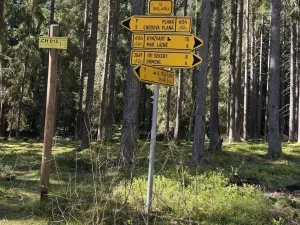 Prodej rybníku, Trstěnice, Trstěnice, 16545 m2