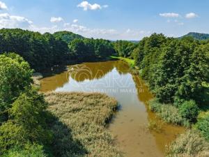 Prodej rybníku, Vojkovice - Jakubov, 200178 m2