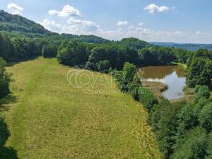 Prodej rybníku, Vojkovice - Jakubov, 200178 m2