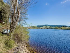 Prodej pozemku pro bydlení, Frymburk, 481 m2