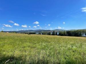 Prodej pozemku, Horní Planá, 123148 m2