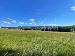 Prodej pozemku, Horní Planá, 123148 m2