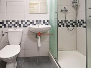 Pronájem bytu 1+kk, Teplice - Trnovany, Antonína Sochora, 19 m2