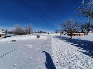 Prodej pozemku pro bydlení, Větrný Jeníkov, 1185 m2