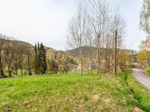 Prodej pozemku, Tanvald - Šumburk nad Desnou, 2372 m2