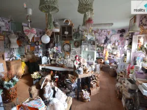 Pronájem obchodního prostoru, Ledeč nad Sázavou, Mostecká, 182 m2