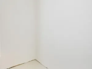 Pronájem bytu 2+kk, Olomouc - Nové Sady, Věry Pánkové, 63 m2