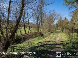 Prodej chaty, Chyňava - Malé Přílepy, 40 m2