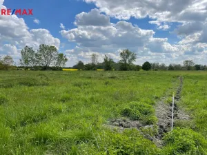 Prodej zemědělské půdy, Olomouc, 4547 m2