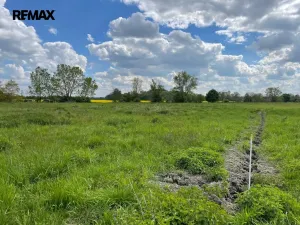 Prodej zemědělské půdy, Olomouc, 4547 m2