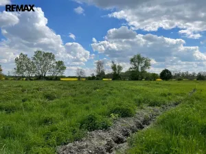 Prodej pozemku, Olomouc, 4547 m2