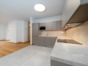 Pronájem bytu 4+kk, Praha - Vokovice, Skotská, 145 m2