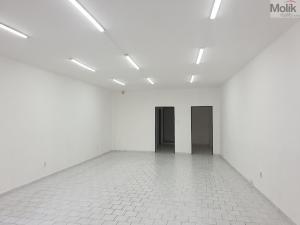 Pronájem skladu, Teplice - Trnovany, Emilie Dvořákové, 85 m2