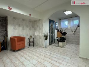 Prodej obchodního prostoru, Ostrov, Borecká, 22 m2