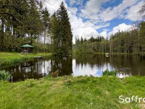 Prodej pozemku, Mariánské Lázně, 16545 m2