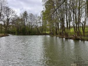 Prodej zemědělské usedlosti, Jivina, 895 m2