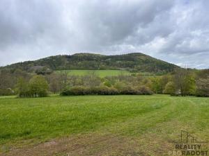 Prodej zemědělské usedlosti, Jivina, 895 m2