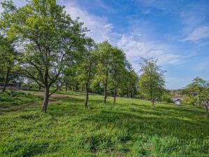 Prodej pozemku pro bydlení, Mikulovice - Široký Brod, 1500 m2