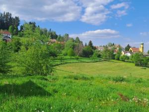 Prodej pozemku pro bydlení, Větřní, 1511 m2