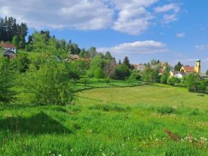 Prodej pozemku pro bydlení, Větřní, 1511 m2