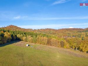 Prodej trvalého travního porostu, Kdyně, 3381 m2