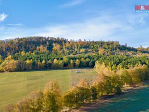 Prodej trvalého travního porostu, Kdyně, 3381 m2