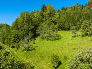 Prodej pozemku pro bydlení, Jablonec nad Jizerou - Buřany, 3503 m2