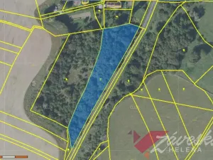 Prodej pozemku pro bydlení, Rožďalovice - Hasina, 6194 m2