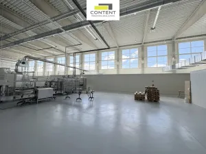 Prodej skladu, Chomutov, Beethovenova, 15052 m2