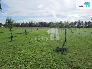 Prodej výrobních prostor, Hradec Králové - Plotiště nad Labem, U Sokola, 1350 m2