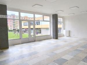 Pronájem obchodního prostoru, Cheb, Přátelství, 160 m2