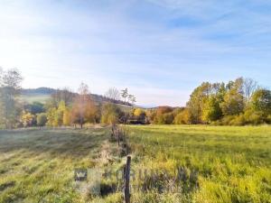 Prodej pozemku pro bydlení, Benešov nad Černou - Kuří, 7089 m2