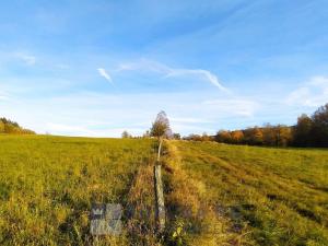 Prodej pozemku pro bydlení, Benešov nad Černou - Kuří, 7089 m2