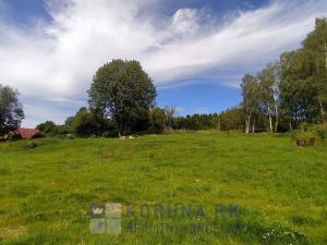 Prodej pozemku pro bydlení, Benešov nad Černou - Kuří, 7089 m2