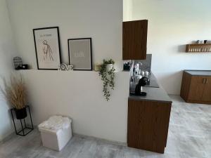 Pronájem bytu 2+kk, Ústí nad Labem - Ústí nad Labem-centrum, Panská, 57 m2