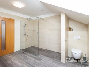 Pronájem bytu 6+kk a větší, Čelákovice - Sedlčánky, Matěje Koštíře, 310 m2