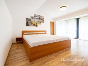 Pronájem bytu 6+kk a větší, Čelákovice - Sedlčánky, Matěje Koštíře, 310 m2