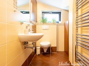 Pronájem bytu 6+kk a větší, Čelákovice - Sedlčánky, Matěje Koštíře, 310 m2